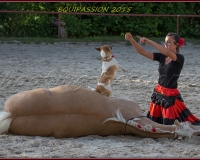2-13JUIN 0510
